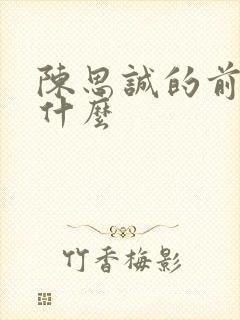陈思诚的前妻叫什么