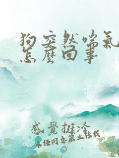 狗突然喘气急促怎么回事