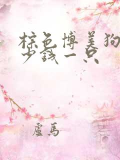 棕色博美狗狗多少钱一只