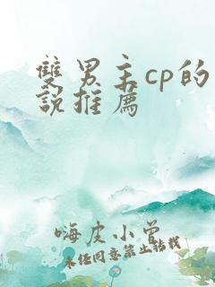 双男主cp的小说推荐