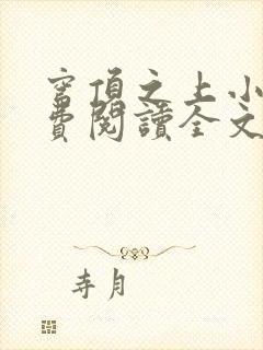 穹顶之上小说免费阅读全文