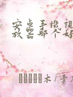 安卓手机视频播放器哪个好
