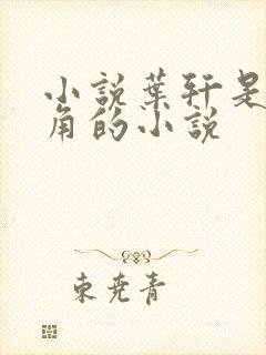 小说叶轩是男主角的小说