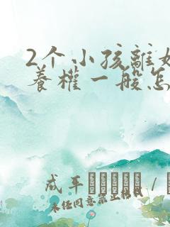 2个小孩离婚抚养权一般怎么判