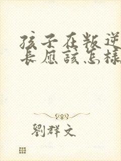 孩子在叛逆期家长应该怎样教育孩子