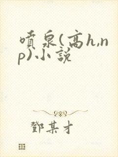 喷泉(高h,np)小说 喷泉(高h,np)小说