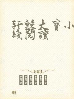轩辕大宝小说在线阅读
