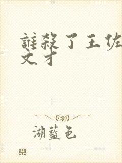 谁杀了王佐和袁文才