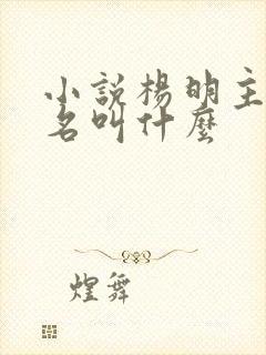 小说杨明主角书名叫什么