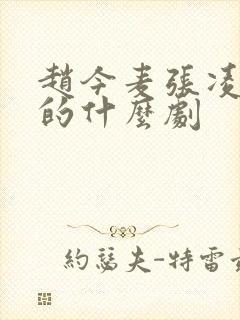 赵今麦张凌赫演的什么剧