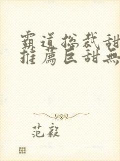 霸道总裁甜宠文推荐巨甜无虐