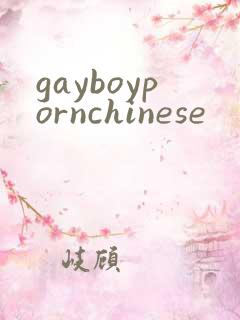 gayboypornchinese