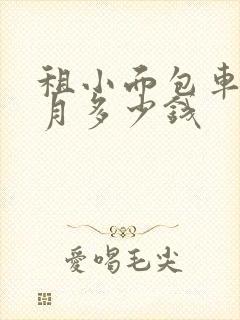 租小面包车一个月多少钱