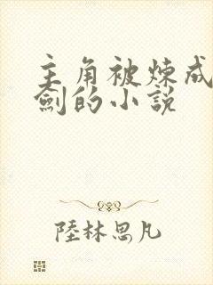 主角被炼成一把剑的小说