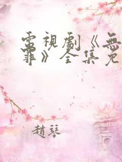 电视剧《无证之罪》全集免费观看