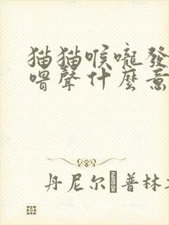 猫猫喉咙发出咕噜声什么意思