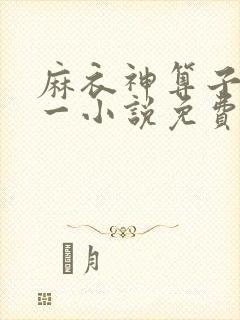 麻衣神算子李初一小说免费下载