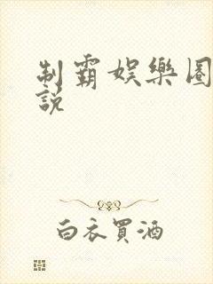 制霸娱乐圈 小说