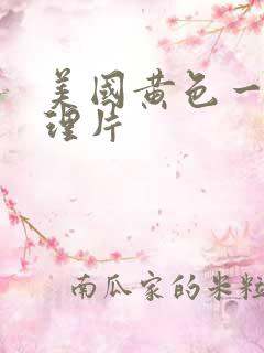 美国黄色一级伦理片