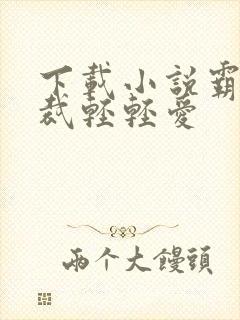 下载小说霸道总裁轻轻爱