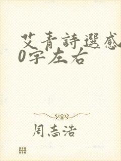 艾青诗选感悟50字左右