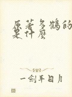 原著多鹤的结局是什么