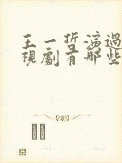 王一哲演过的电视剧有哪些