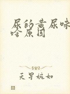 尿的黄尿味重是啥原因