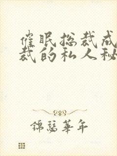 催眠总裁成为总裁的私人秘书小说