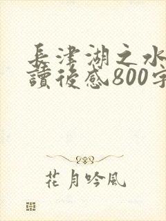 长津湖之水门桥读后感800字