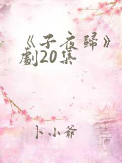 《子夜归》电视剧20集
