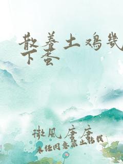 散养土鸡几个月下蛋