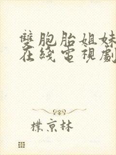 双胞胎姐妹韩剧在线电视剧免费观看第一集