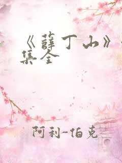 《薛丁山》40集全