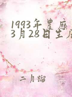 1993年农历3月28日生辰八字