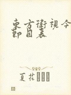 东方卫视今晚的节目表