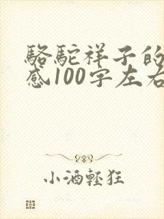 骆驼祥子的读后感100字左右 骆驼祥子的读后感100字左右
