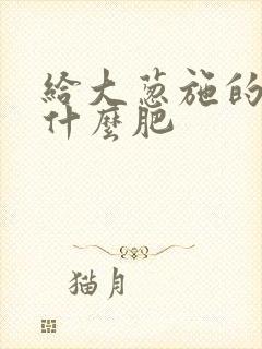 给大葱施的肥施什么肥