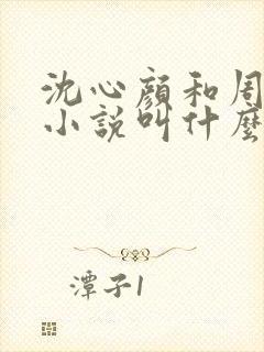 沈心颜和周昱琛小说叫什么名字