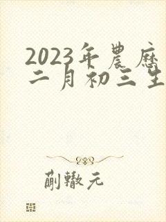 2023年农历二月初三生辰八字
