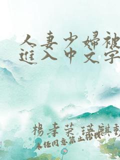 人妻少妇被猛烈进入中文字幕,