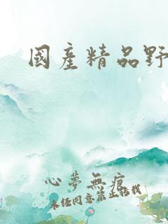 国产精品野战