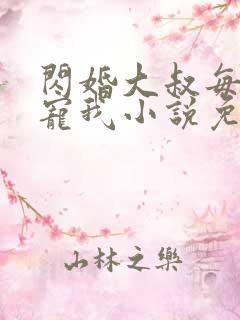 闪婚大叔每天狂宠我小说免费阅读