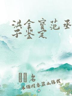 洪金宝范丞丞亲子鉴定
