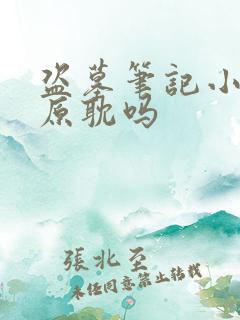 盗墓笔记小说是原耽吗