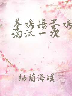 养鸡场蛋鸡多久淘汰一次
