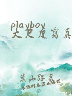 playboy大尺度写真在线播放