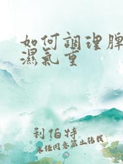 如何调理脾胃虚湿气重
