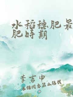 水稻穗肥最佳施肥时期
