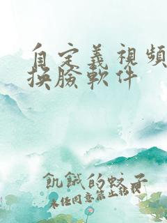 自定义视频ai换脸软件